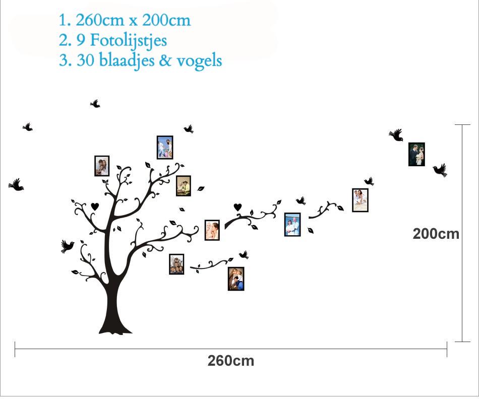 Muursticker boom met fotolijstjes