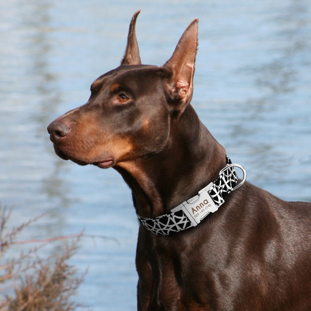 Gepersonaliseerde Hondenhalsband | Gegraveerd | Halsband met Naam | Bescherm uw Hond