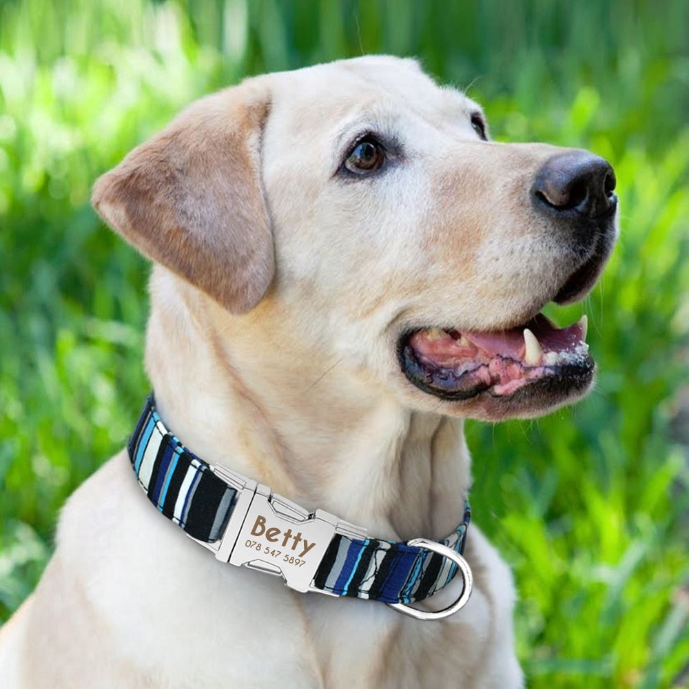 Beirui Gepersonaliseerde halsbanden - geborduurde aangepaste halsband met naam en telefoonnummer - reflecterende nylon halsband voor kleine middelgrote grote honden, rood, nek 12-19 inch Beirui Gepersonaliseerde halsbanden - geborduurde aangepaste halsband met naam en telefoonnummer - reflecterende nylon halsband voor kleine middelgrote grote honden, rood, nek 12-19 inch
