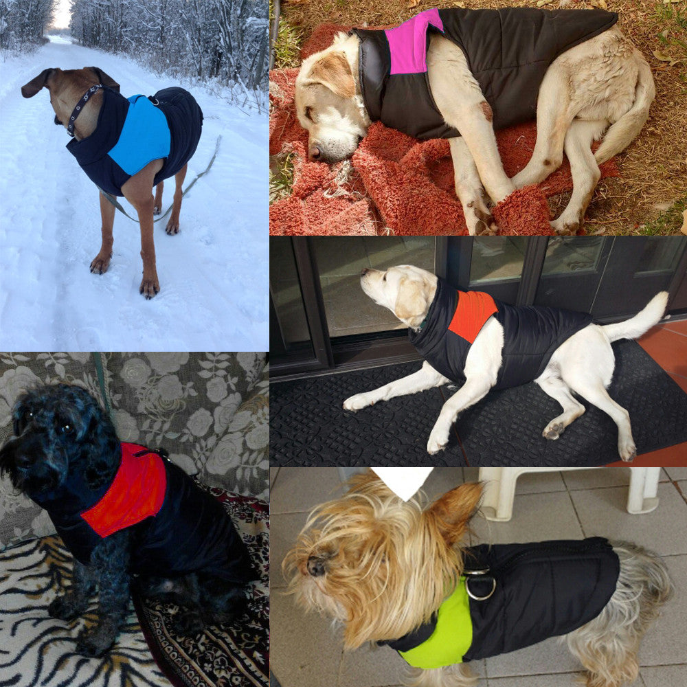 Warme en Waterafstotende Jas voor Honden
