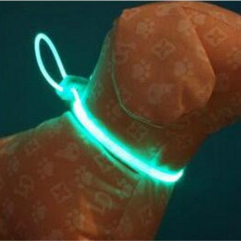 LED Honden Halsband | Groen