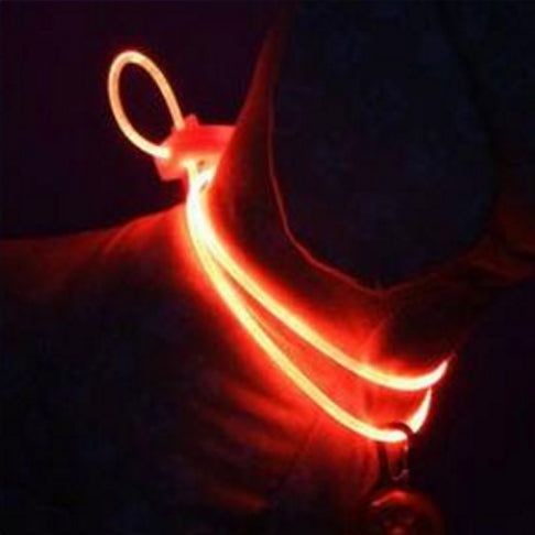 LED Honden Halsband | Oranje