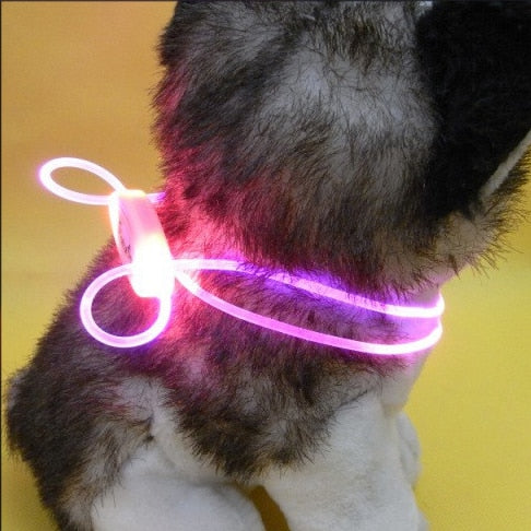 LED Honden Halsband | Paars